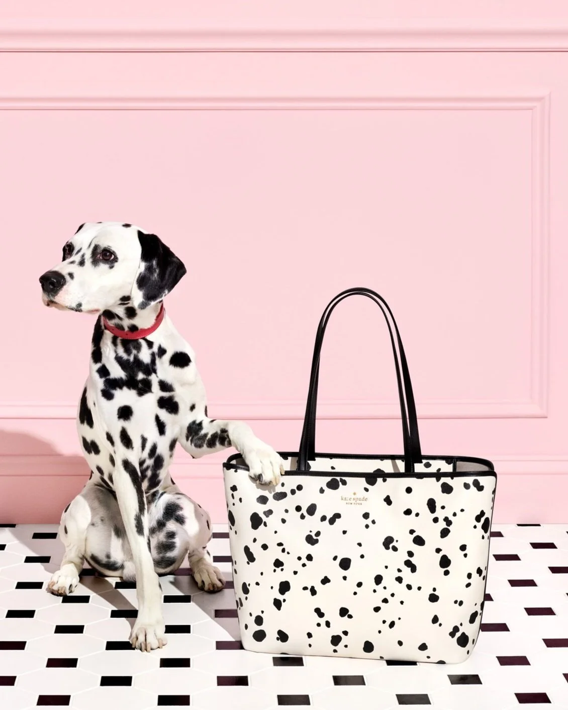 Kate Spade Off Price Fall 2022 — Andrea Raymer